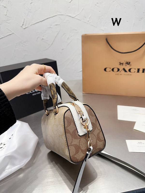LO - CCH Bags - 380