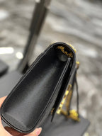 YSL BAGS - WOMEN LOVE LUXURY BAGS - 191