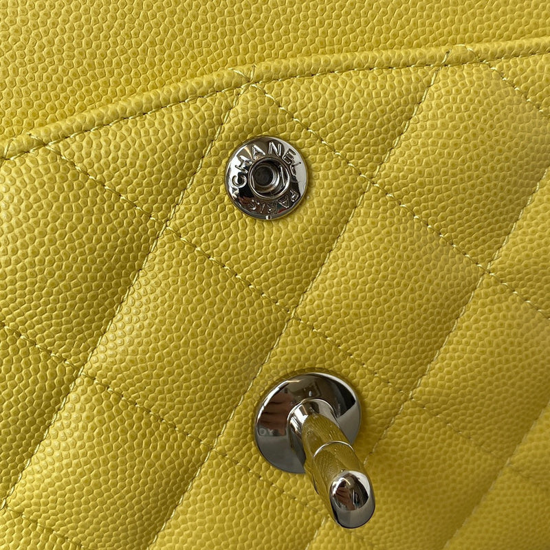 LO - CHL  BAGS FOR WOMEN - FASHION LUXURY BAGS - 1103
