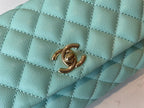 LO - CHL Bags - 1666