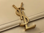 YSL BAGS - WOMEN LOVE LUXURY BAGS - 2365