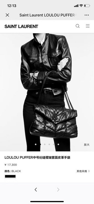 BB - YSL Bag - 3724