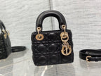 LO - CHL Bags - 2166