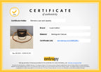 LO-LV bags 6076