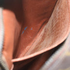 LO-LV bags 6555