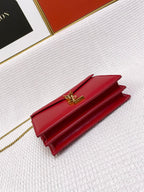 YSL BAGS - WOMEN LOVE LUXURY BAGS - 1173