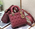 LO - DYOR   BAGS FOR WOMEN - FASHION LUXURY BAGS 461