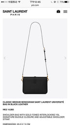 BB - YSL Bag - 3601