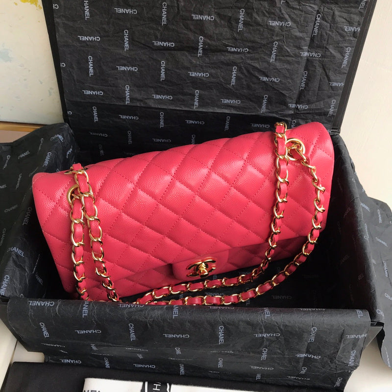 LO - CHL  BAGS FOR WOMEN - FASHION LUXURY BAGS -2219