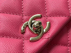 LO - CHL  BAGS FOR WOMEN - FASHION LUXURY BAGS -2039