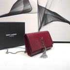 BB - YSL Bag - 2273