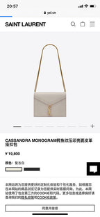 BB - YSL Bag - 3667