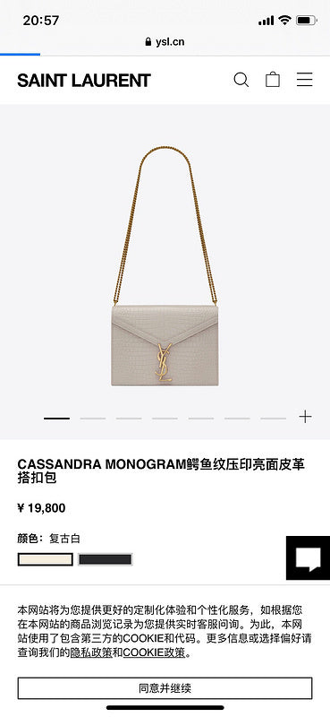 BB - YSL Bag - 3667