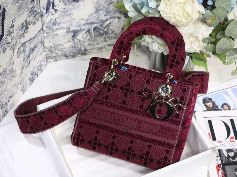 LO - DYOR   BAGS FOR WOMEN - FASHION LUXURY BAGS 491