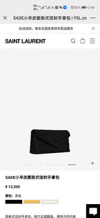 BB - YSL Bag - 3707