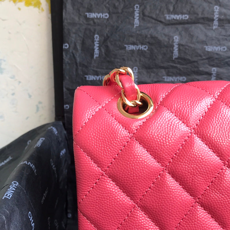 LO - CHL  BAGS FOR WOMEN - FASHION LUXURY BAGS -2219