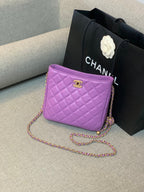 CHL - Hobo Handbag Purple Bag For Women 16LO/6in