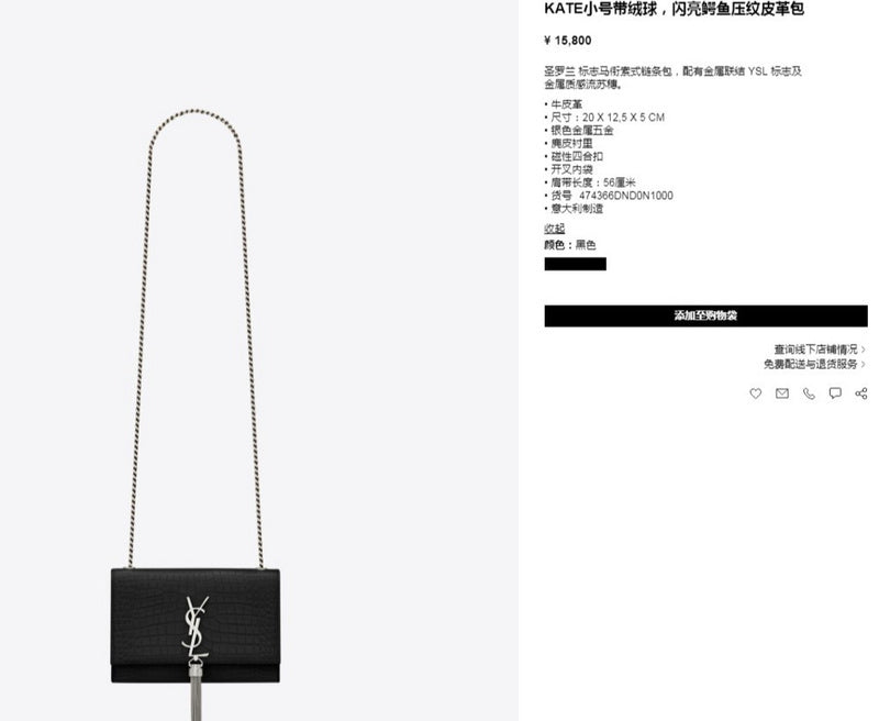 BB - YSL Bag - 3784