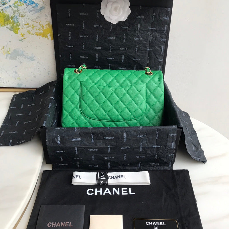 LO - CHL  BAGS FOR WOMEN - FASHION LUXURY BAGS -2220