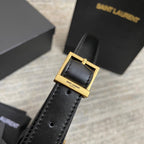 BB - YSL Bag - 3803