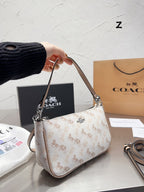LO - CCH Bags - 312