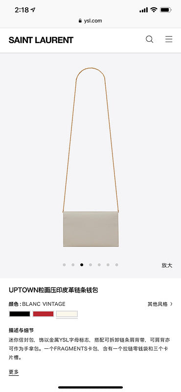 BB - YSL Bag - 3701