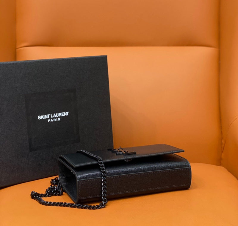 BB - YSL Bag - 2017