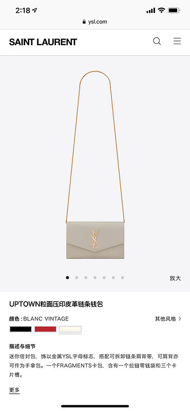 BB - YSL Bag - 3701