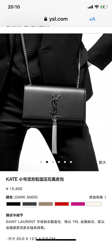 BB - YSL Bag - 3664