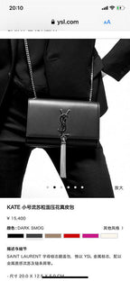 BB - YSL Bag - 3664