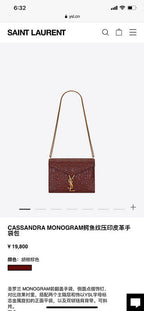 BB - YSL Bag - 3667