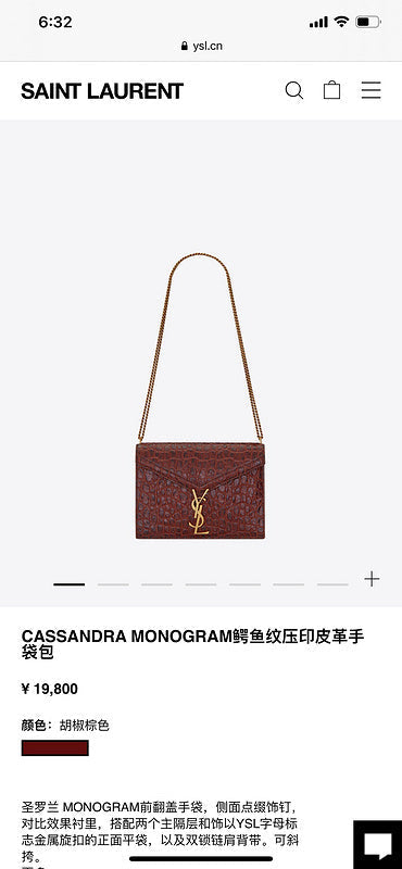 BB - YSL Bag - 3667