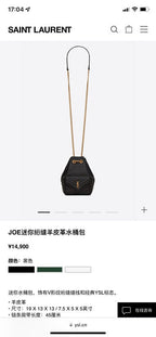 BB - YSL Bag - 3719