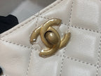 CHL - Hobo Handbag White Bag For Women 16LO/6in