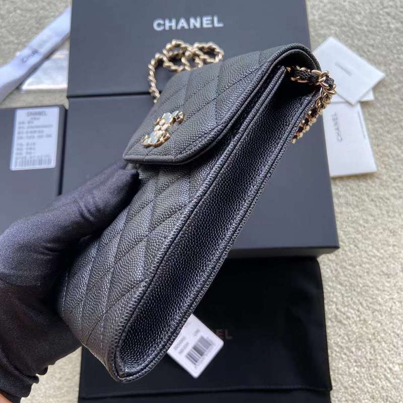 LO - CHL  BAGS FOR WOMEN - FASHION LUXURY BAGS - 317