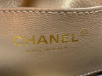 CHL - Hobo Handbag White Bag For Women 16LO/6in