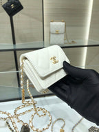 LO - CHL  BAGS FOR WOMEN - FASHION LUXURY BAGS -1920