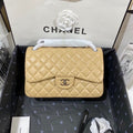 LO - CHL Bags - 2210