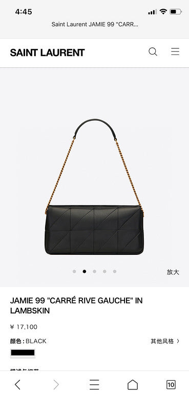 BB - YSL Bag - 3677