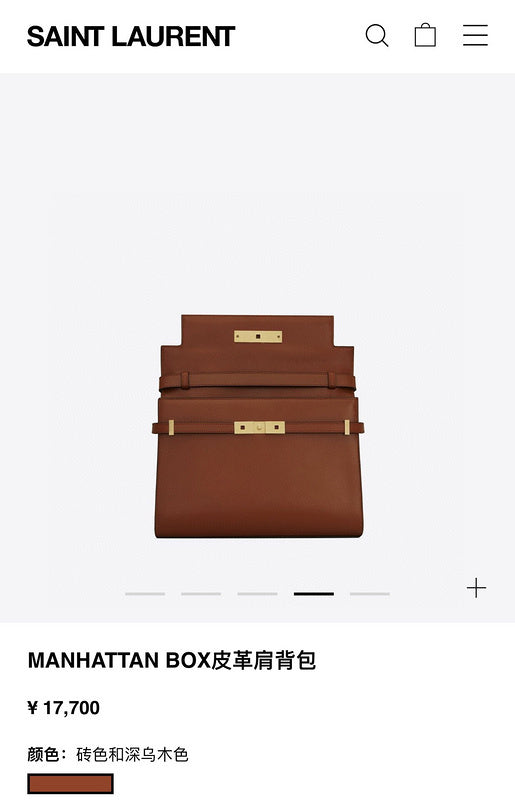 BB - YSL Bag - 3742
