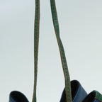 LO-LV bags 6379