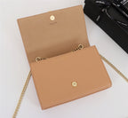 YSL BAGS - WOMEN LOVE LUXURY BAGS - 1737