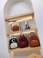 LO - CCH Bags - 220