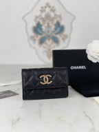 LO - CHL Bags - 2519