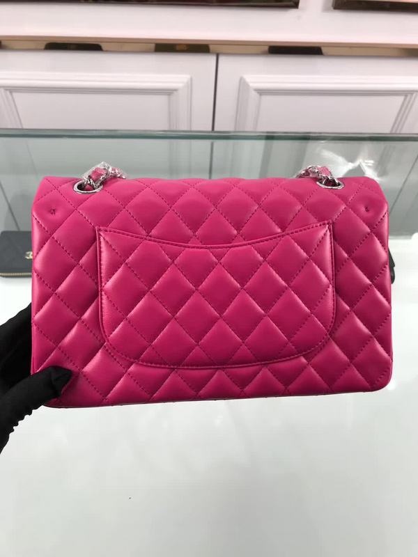 LO - CHL  BAGS FOR WOMEN - FASHION LUXURY BAGS - 1113