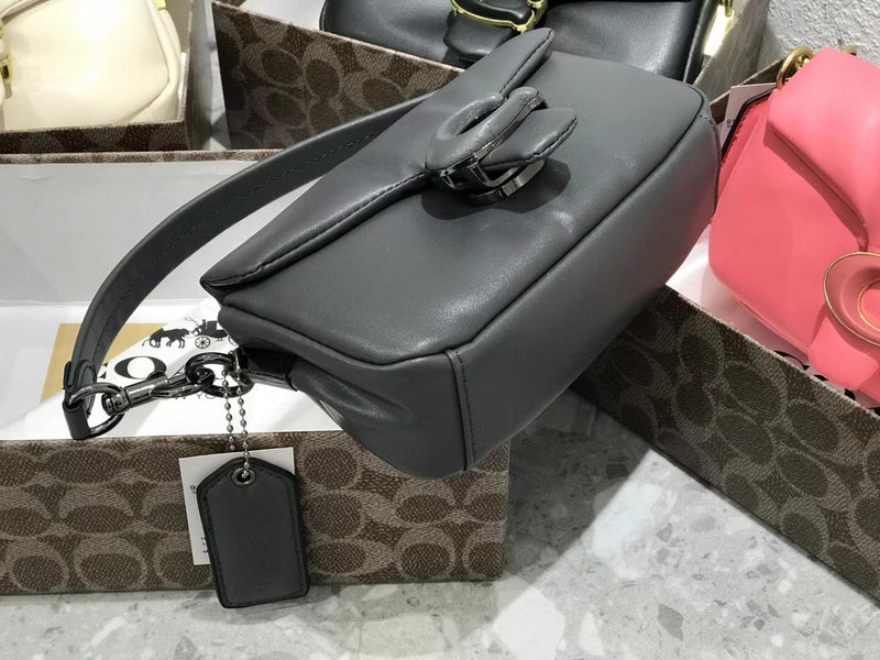LO - CCH Bags - 481