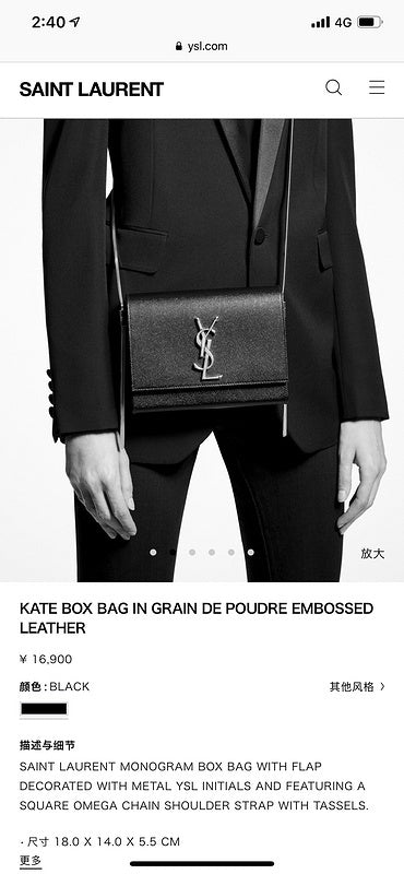 BB - YSL Bag - 3720