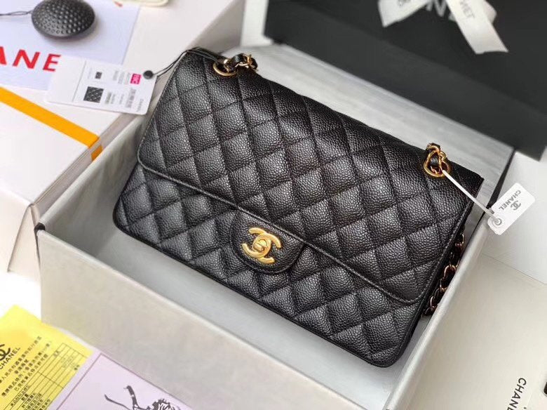 LO - CHL  BAGS FOR WOMEN - FASHION LUXURY BAGS -2356