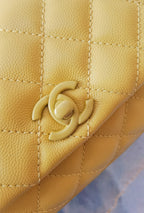 LO - CHL  BAGS FOR WOMEN - FASHION LUXURY BAGS -2310