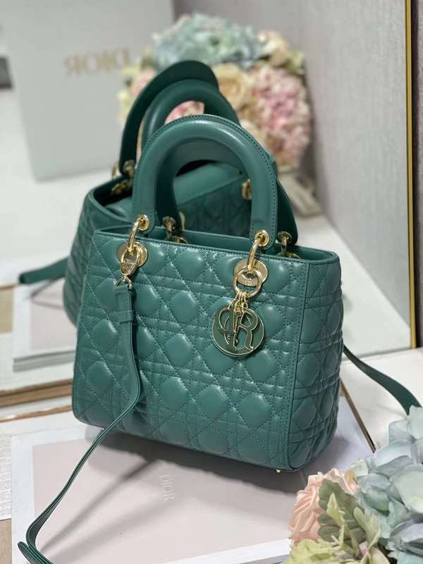 LO - DYOR   BAGS FOR WOMEN - FASHION LUXURY BAGS 494